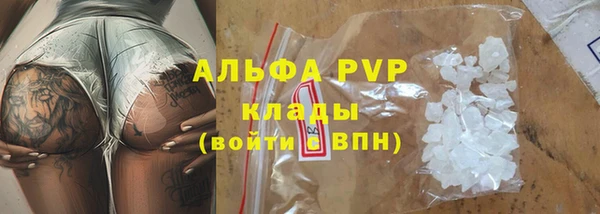 ешки Горняк