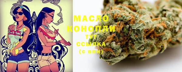 ешки Горняк