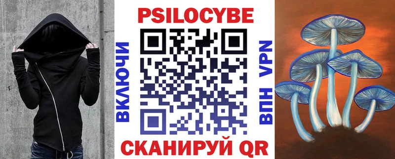 Псилоцибиновые грибы мухоморы  Купить закладки  Соль-Илецк 
